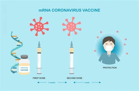 mrna vaccines-wiki